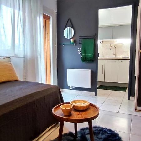 Michelet Studio Climatise Avec Balcon Et Parking Ferme Montpellier Luaran gambar