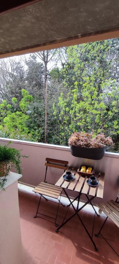 Michelet Studio Climatise Avec Balcon Et Parking Ferme Montpellier Luaran gambar